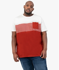 GEMO Tee-shirt homme grande taille tricolore avec poche poitrine Imprimé